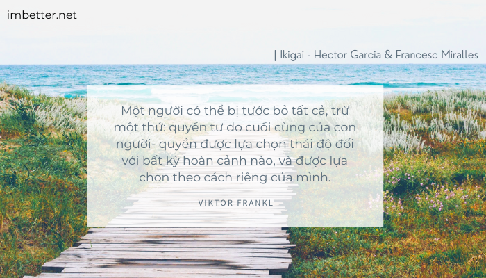 ikigai -di-tim-ly-do-thuc-day-moi-buoi-sang