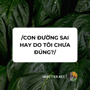 Con đường sai hay do Tôi chưa đúng?